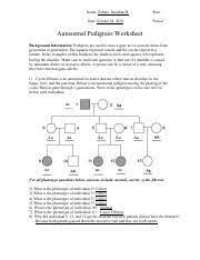 Assume that the trait is fullypenetrant (all individuals with a genotype that could give rise to albinism willdisplay this condition). Autosomal Pedigrees Worksheet 302a Pdf Name Zabala Jonathan B Row Date Period Autosomal Pedigrees Worksheet Background Information Pedigrees Are Course Hero