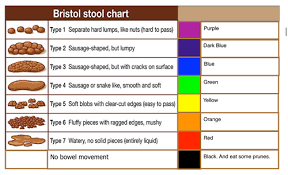 The Bristol Chart Scarf Pattern By Karin Aida Ravelry