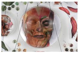 Human Specimens — Michael Mapes