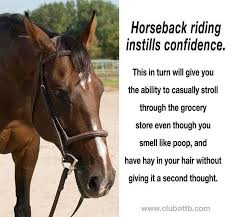 Confidence Funny Horses Horse Quotes Horseback Riding