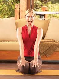 Lion Pose Yoga Poses Yoga Journal Seated Yoga Poses Yoga Fitness Yoga Poses