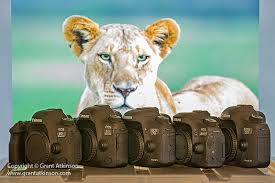 Safari Packing List What To Pack For African Safaris On A Budget