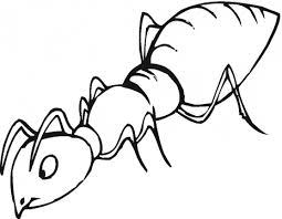 Ants are eusocial insects of the family formicidae and, along with the related wasps and bees, belong to the order hymenoptera. Ant Coloring Page Ant Free Printable Coloring Pages Animals