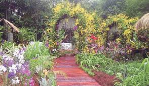 F5, taman orkid, lorong orkid,. Orkid Kekal Berseri Sepanjang Masa