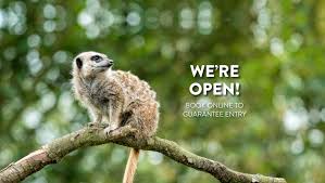 Blackpool Zoo Posts Facebook