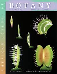 Image result for Halopyrum mucronatum