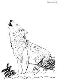 Diese wilden tiere sind für ihre schaurige heulen bekannt, mit denen sie miteinander in verbindung stehen. Wolf Malvorlage Kostenlos Wolfe Ausmalbilder