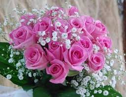 As the ponies waited in the dark fairground, flower bouquet flipped a switch to turn on the lights, but nothing happened! Twitter Notificaciones Beautiful Flowers Flowers Bouquet Beautiful Roses