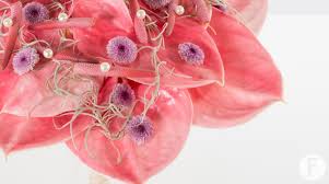 We did not find results for: Anthurium Wedding Bouquet Flower Factor