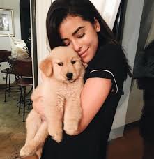 Pin On Best Of Doglovers