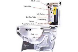 Look up for any cracks in the porcelain tank and check out the rubber seals and bolts. How To Fix A Leaking Toilet This Old House