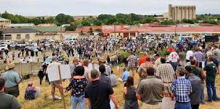 Watch Crowds Outside Senekal Court Where Brendinhorner Murder Suspects To Appear Sapeople Your Worldwide South African Community