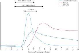 Hepatitis E The Lancet