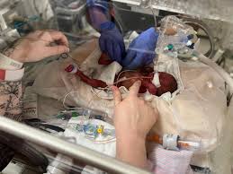 This is the son of Cory and Callie Hildreth and grandson of Mark ...