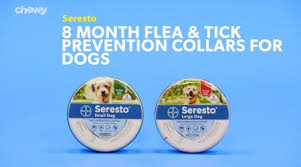 .wear flea collars wholesalers, do flea collars kill existing fleas, seresto cat flea collar uk suppliers, seresto flea and tick collar price, how much are seresto flea collars, what. Seresto 8 Month Flea Tick Collar For Large Dogs Puppies At Low Prices Free Shipping At Chewy Com