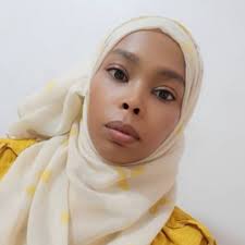 What are audit practices?