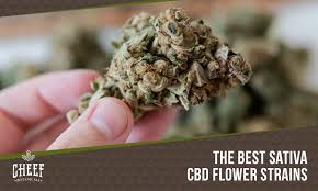 Secret nature offers cbd hemp flowers & extracts that are. Sativa Cbd Flower Top Shelf Strains That Are Perfect For Daytime Use