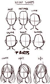 Draw these lines as in the example and afterwards add the lines that represent the bottom of the beak followed by the line that establishes the bottom of the head (transitioning into the neck) next add the line for the back of the neck and the curves of the shoulder. Art Tutorials Drawing Tutorial Drawing Tips Art Tutorials