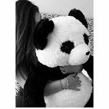 ف ج آة أص ب ح ﻛ ل آل ب ن آت ت ح ب آل ب آن د آ teddy bear pictures bear tumblr teddy bear wallpaper