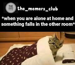 In 2020 Autumn Scenery Memes Home Alone