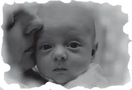 Source of Trail Excerpt: Ward, Marjorie, "Mary Ann Hobbs," Biographies of  Pioneers of Malad Valley, #47. When we left our home in the old country, I  had all of my children with