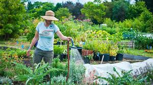 Master Gardener Series Basic Botany Online Course Osu Continuing Education Gardening Courses Master Gardener Healthy Garden