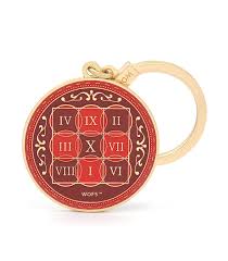 Image result for Triumfetta amuletum