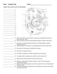 Cell Structure Quiz Bundle Printable And Digital Distance Learning Science Cells Teaching Biology Cell Structure