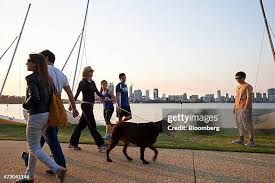 124 Aaron Pet Photos & High Res Pictures