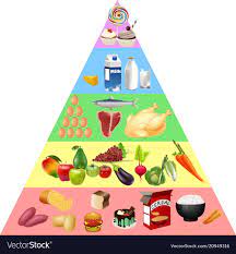 Food Pyramid Chart Download A Free Preview Or High Quality Adobe Illustrator Ai Eps Pdf And Hi Food Pyramid Food Pyramid Kids Dental Health Preschool Crafts