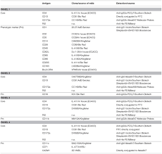 Frontiers Precise Delineation And Transcriptional