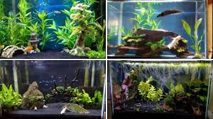 By psychotic_chimp dec 3, 2018. How To Decorate A Fish Tank With Household Items