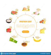 Protein Diet Chart Diagram Nutrition And Wholesome Products