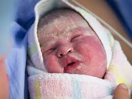 Kasur bayi kelambu lucu imut doraemon dorayaki karakter. Vernix Caseosa Pada Bayi Baru Lahir Apa Sebabnya