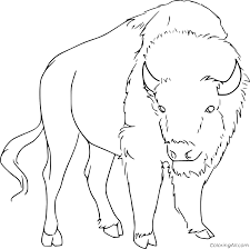 Identify 15 different creatures in these animal coloring sheets. Realistic European Bison Coloring Page Coloringall