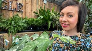 Covid: Frustration as garden centres in Wales stay closed