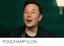 Pogchamp Elon Reddit Meme On Me Me Pogchamp last spam pogchamp last spam pogchamp last spam.