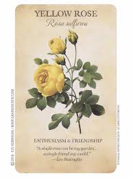 Botanical Inspirations Oracle Deck De Lynn Araujo Signification Des Fleurs Fleurs Et Signification Illustration Botanique