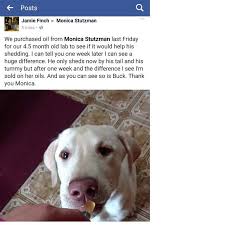 Pin On Stutzman Muddy Paws