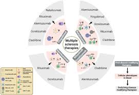 Image result for Absolute Lymphocyte Count Estimation of CD4 Count