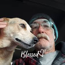 Who can help remove bees from equipment at Roswell Airport?