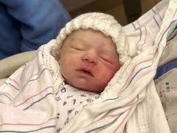 Fundraiser by Brianna Campbell : Headstone for Jasper