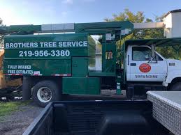Get reviews, hours, directions, coupons and more for caputo brothers tree service at 22 appleton pl, montclair, nj 07043. Brother S Tree Service Llc Home Facebook