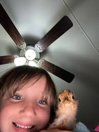 Hi all! I just wanted to introduce myself and share a photo I took