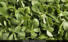 Purslane is a leafy vegetable that looks like a cross between a garden succulent plant and lettuce. Want To Lose Weight Try This Plant Called Purslane