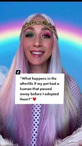 Understanding the Afterlife Connection Between Pets and Humans