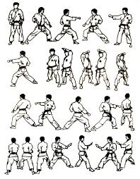 A proficient and proven martial artist, sensei roscoe has won multiple martial arts titles including world champion black belt kumite in 1995. The Shotokan Katas Karate Do Sanchin