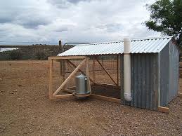 In november 2018, former members kudo shuhei, manami, sayaka, and watanabe shuhei formed a new band named play.goose. 96 Turkey Goose Ideas Chickens Backyard Chickens Chicken Coop