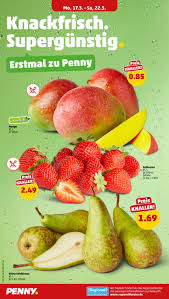 Penny Muehlacker 2 in 76768 Berg