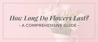 Check spelling or type a new query. How Long Do Flowers Last Comprehensive Guide Ode A La Rose